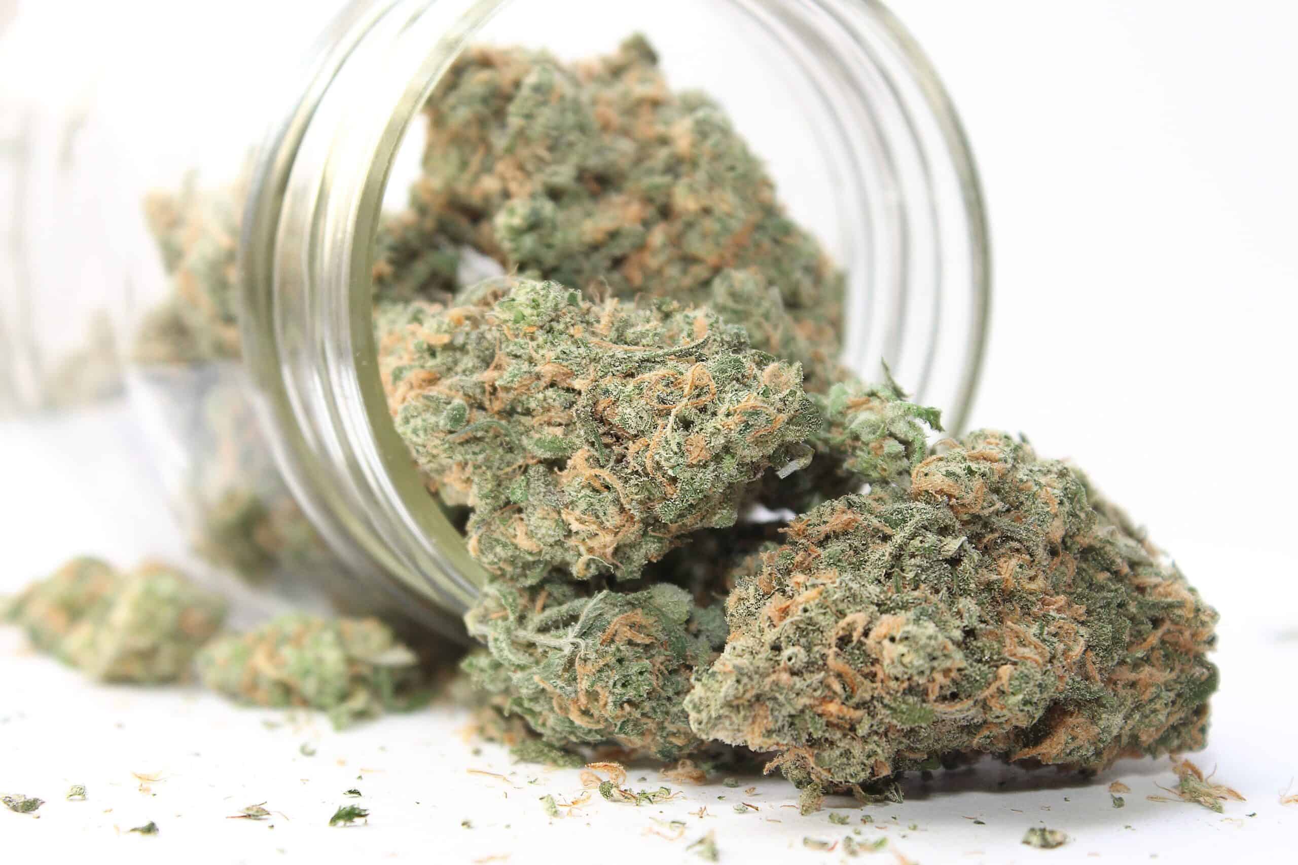 medicinal benefits of sativa