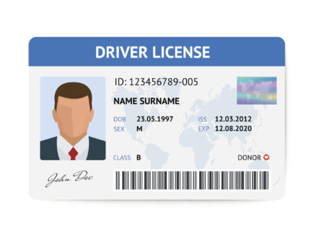 Marijuana Driver License